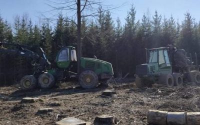 Těžba dřeva pro majitele lesů v kostce