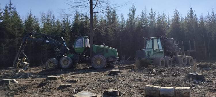 Těžba dřeva pro majitele lesů v kostce